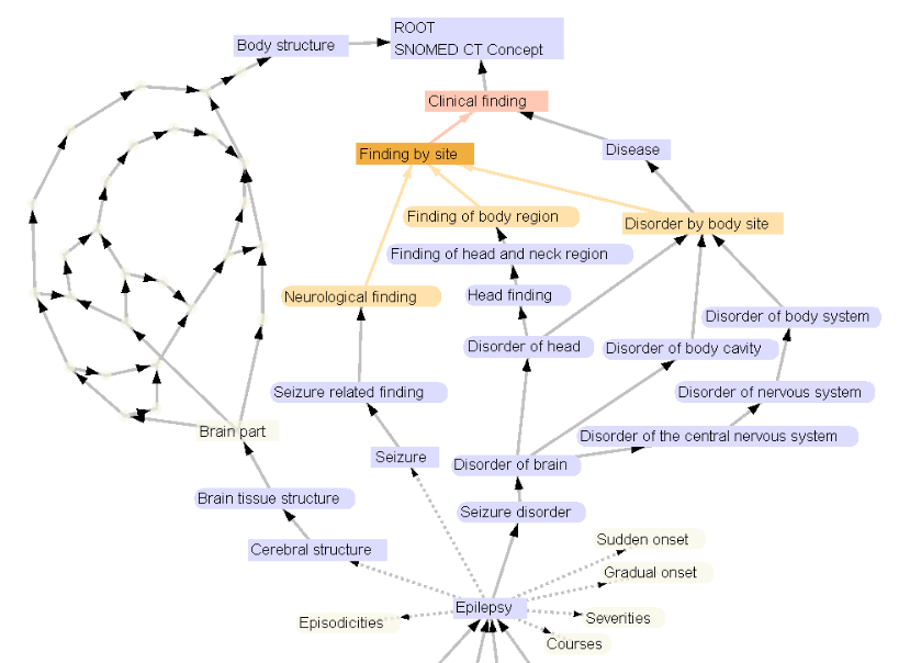 Snomed